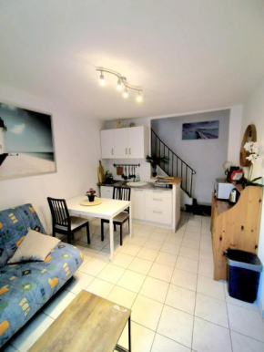 Duplex tout confort, équipé près du tram et au centre-ville